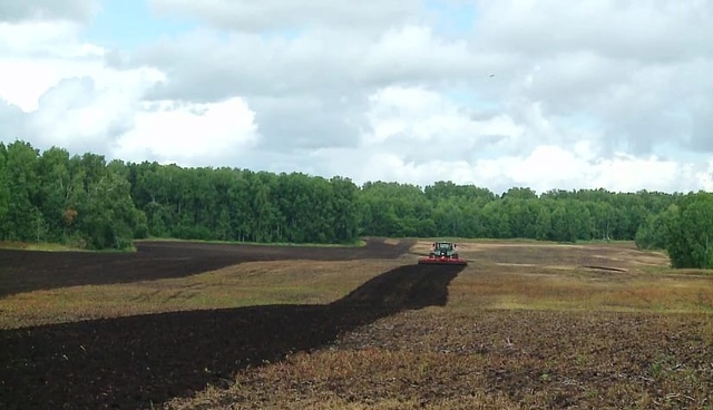 Сюжет "Вести-Алтай" (ГТРК "Алтай", г. Барнаул) Сюжет "Вести-Алтай"